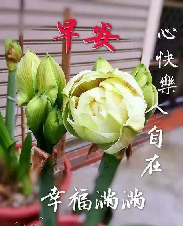 最美秋天早安问候祝福美女动画图片精选 早上好问候祝福图片带字温馨