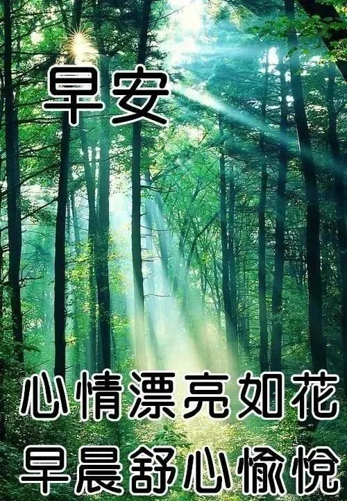 2020特暖心的早安问候语图片 最新版漂亮早上好问候祝福语动态美图