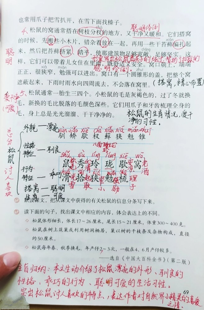 五年级语文上册第十七课松鼠课文笔记预习和复习专用