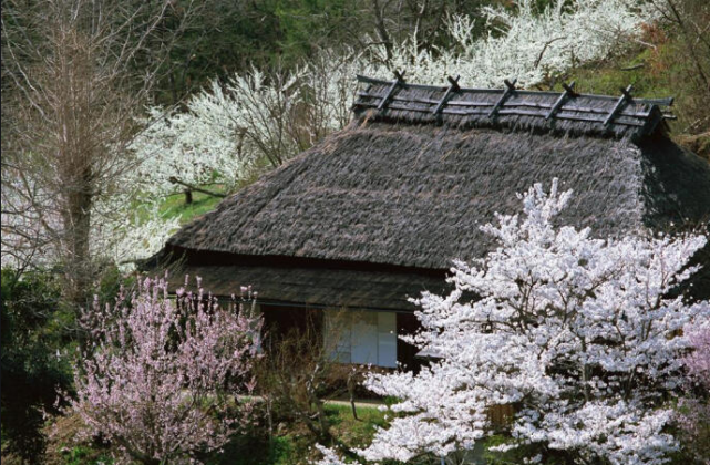 晋代隐士高人,以老虎为仆人,深山麋鹿以他为王,最后病逝于山林