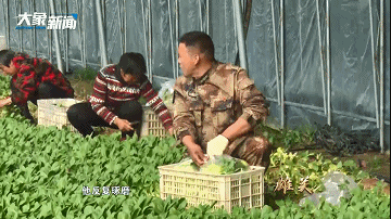 今天,多少双手为你举起|马振涛|河南|疫情防控|刘海燕|武汉|疫情