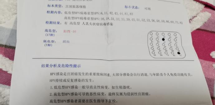 到了9月检测hpv显示66,83阳性,加服今幸人参皂苷调理.