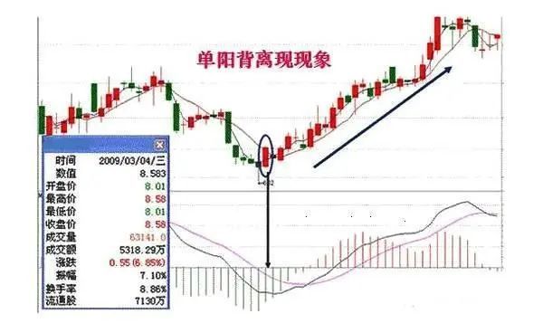 国内"macd"第一高手坦言:死记"顶底背离",远比"金叉死叉"准确