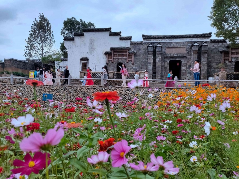 福建松溪梅口古埠:鲜花盛开 引游客来