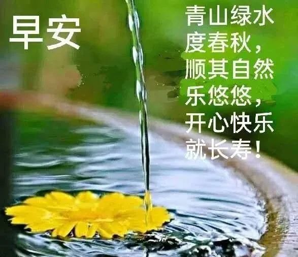 2021朋友圈清晨暖心祝福问候图片,唯美鲜花早上好温馨