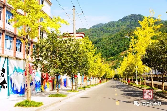 荥经县城有一段美美的街景