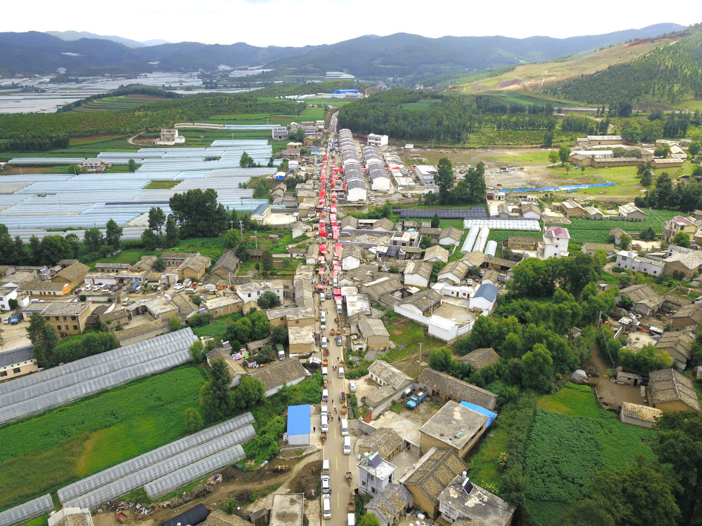 野马村