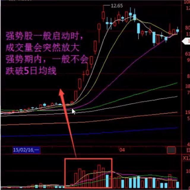 一旦发现这样的强庄股震仓洗盘都别下车躺着等主升浪赚翻了