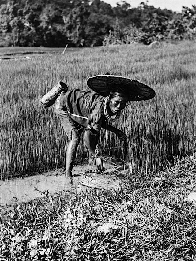 1931年海南老照片,白沙的黎族男子和女子以及放牛娃