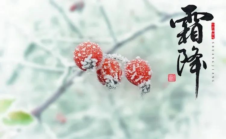 今日霜降|叶零霜降,叠起黄金浪