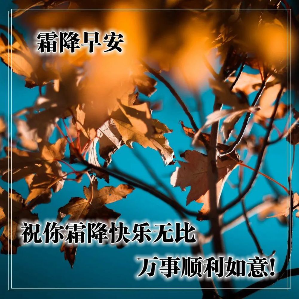 霜降早安心语祝福问候暖心霜降问候朋友早上好的唯美图片