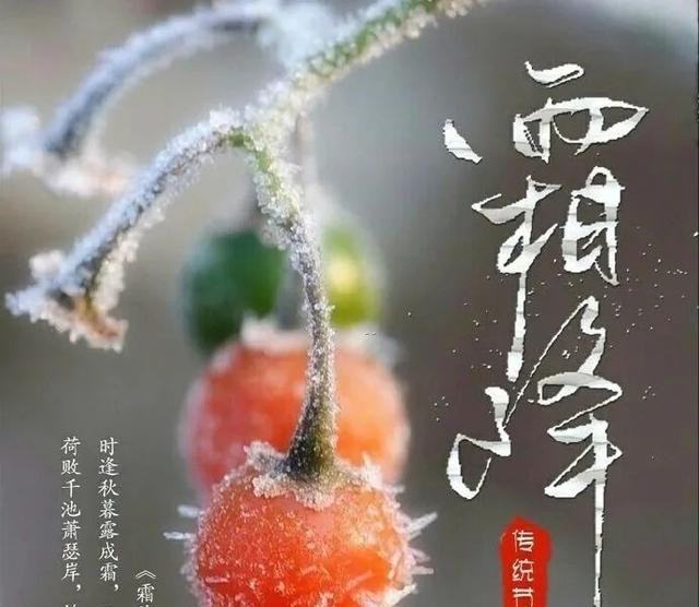 2020霜降早安祝福温馨语句,最美的霜降问候祝福短信