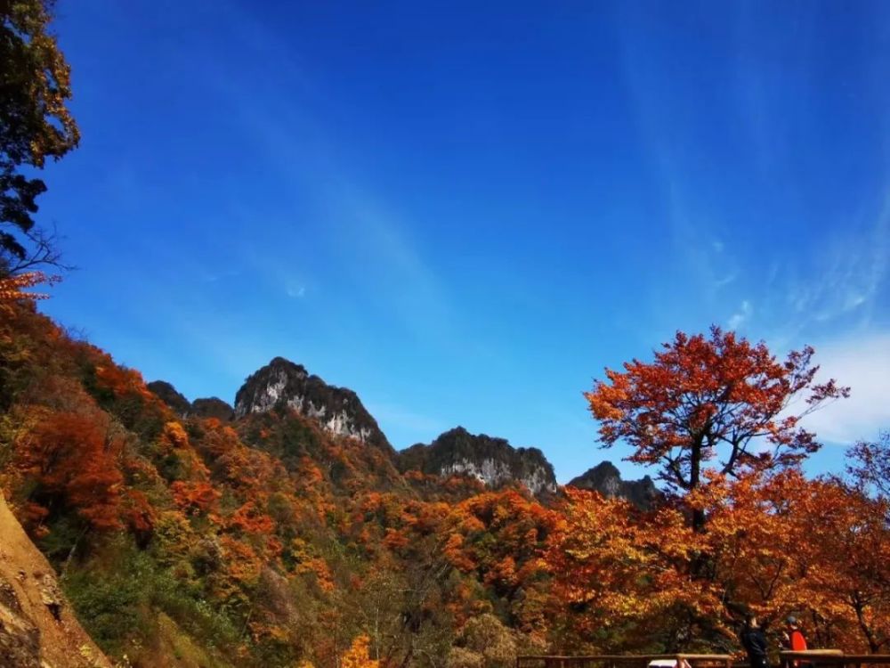 第十九届四川光雾山国际红叶节10月18日开幕 巴中红即将刷屏