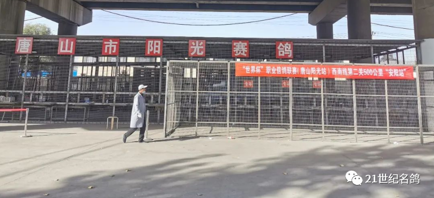 "世界杯"唐山阳光西南线第二关,192羽勇士归巢有效