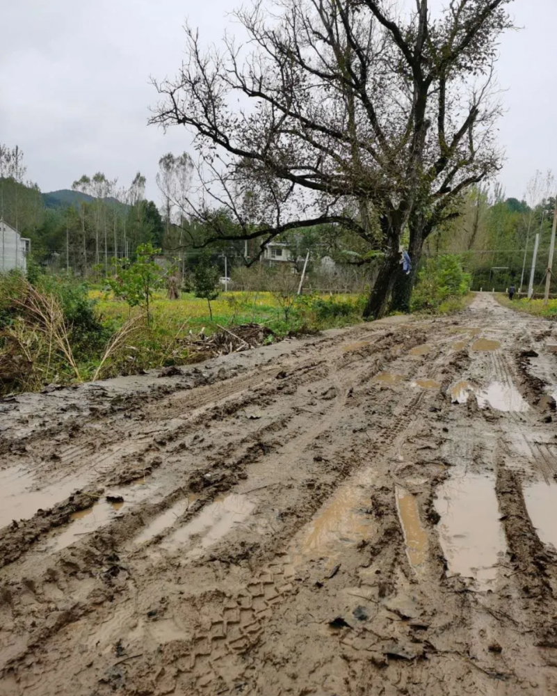 洛南网友爆料为啥村里的泥泞道路没有硬化是什么原因