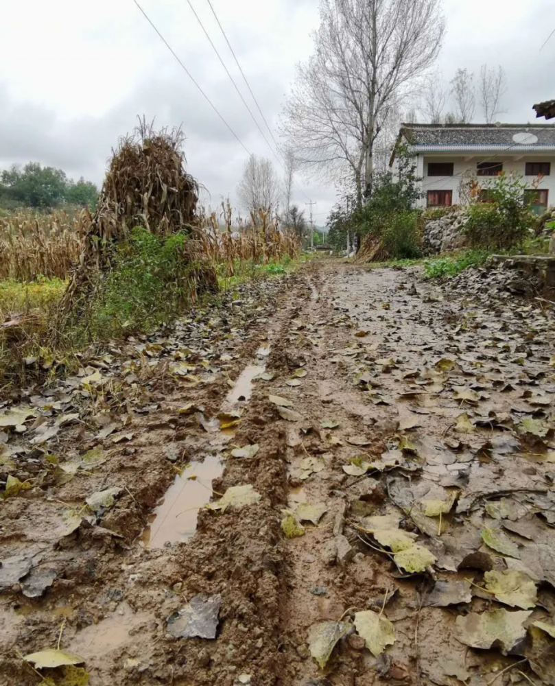 洛南网友爆料:为啥村里的泥泞道路没有硬化?是什么原因?