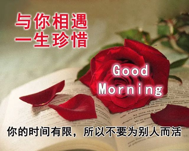 8月29日早晨问候语图片带鲜花,周日早上好祝福图片表情大全