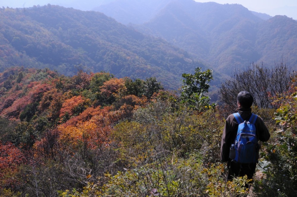 秦岭人口线_秦岭淮河线(2)