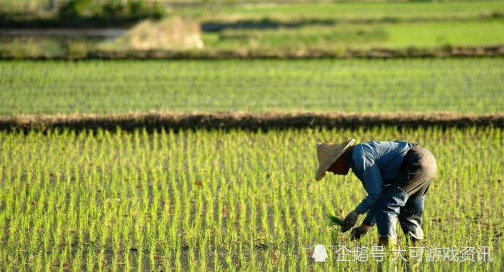 王福重说:农民没有贡献,出力气,流汗是种懒惰和愚蠢,对不对?