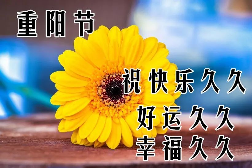 重阳节清晨早上好问候祝福动态表情图片重阳节问候祝福图片带字温馨