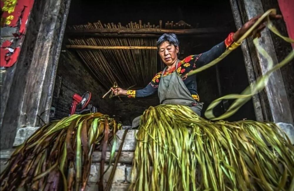 传统的苎麻手工"剥麻"