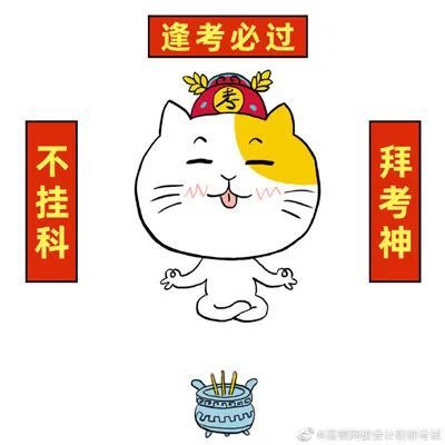 初级会计必过的表情包:谜之自信肯定能过