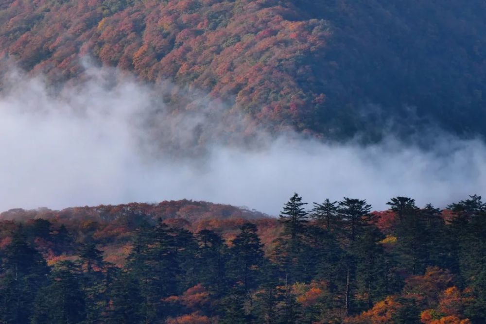 满分推荐你可以永远相信峨眉山的秋天