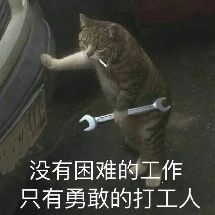 《我凭本事单身》直男与直女的双向暗恋有点甜!