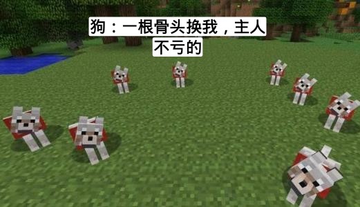 狗狗:主人,村民:割