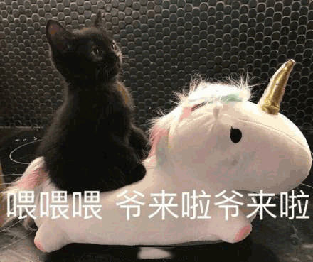 萌宠表情包:喂喂喂!爷来啦爷来啦!