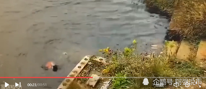 女子在水库边上系鞋带，被身后同伴推入水里