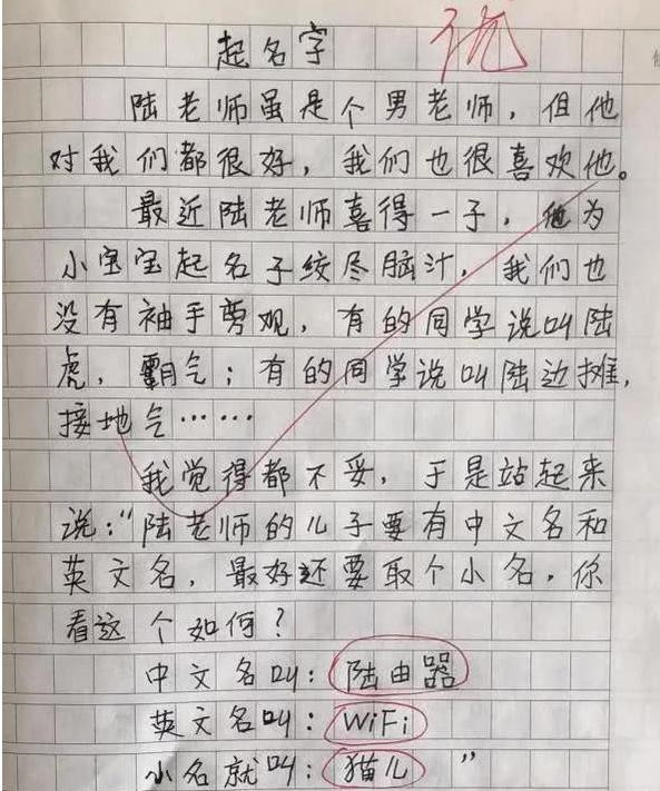 小学生满分作文我的理想走红老师批语抢镜小心你同桌