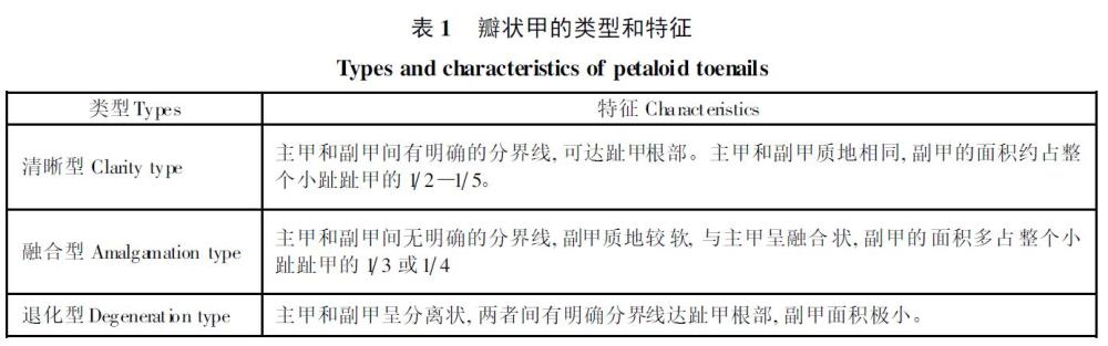 另外在总共调查的312个案例中,247人存在瓣状甲,比例达到了79.