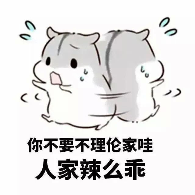 仓鼠表情包:你的小宝贝不在