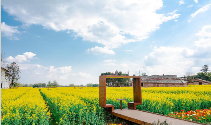 大邑南岸美村:铺展公园城市乡村美学"卷轴"