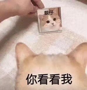 表情包丨第1314期