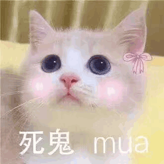 猫咪表情包:死鬼,mua!