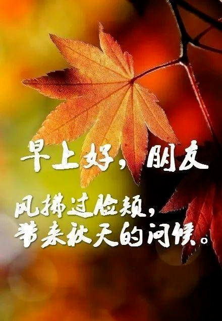漂亮的秋日早上好动画表情图片天冷加衣暖心的早安问候语
