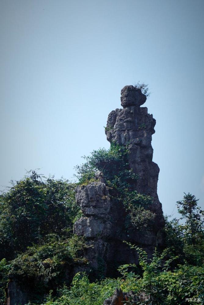 是中国海拔最高的山岳型石林,华蓥山生态气候环境十分优越,旅游区内