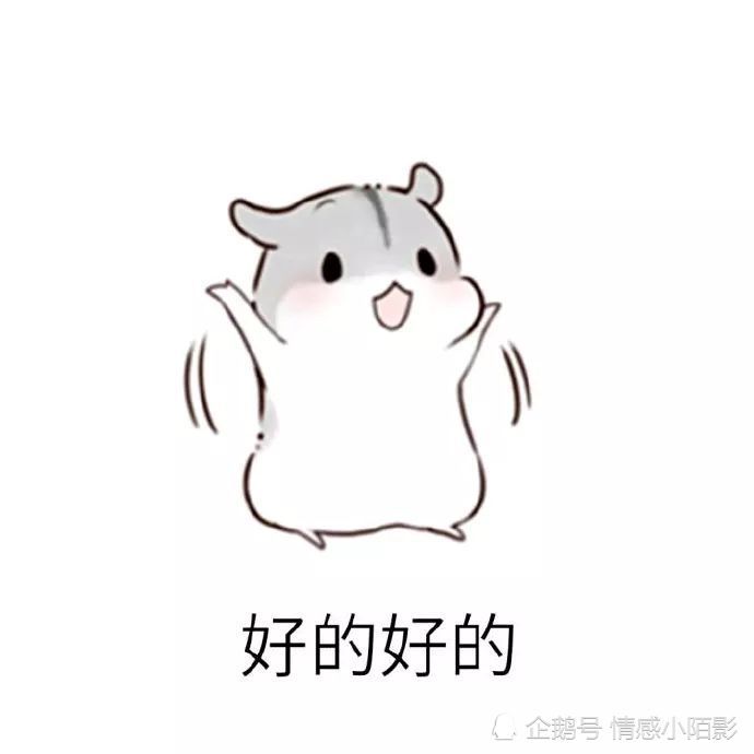 仓鼠表情包:听话的夫君君