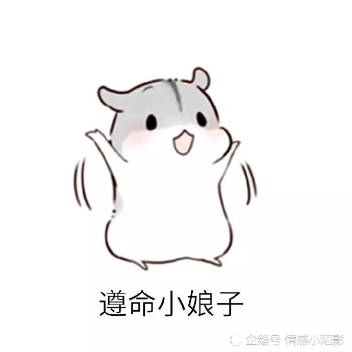 仓鼠表情包:听话的夫君君