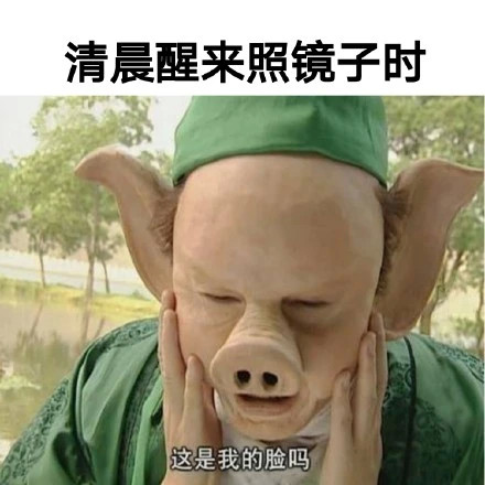 这组表情包太真实了完全就是我们日常生活写照