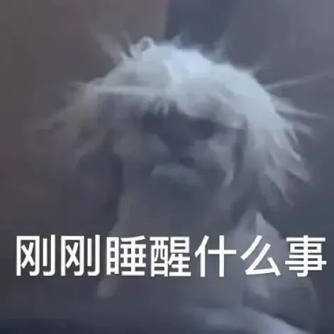 可爱沙雕表情包|何时才能熬到头啊 可怜巴巴
