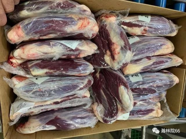 每日供求信息:澳大利亚现货谷饲牛肉