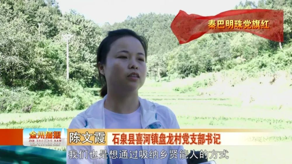 90后女支书陈文霞:敢想能做 带领村民奔小康