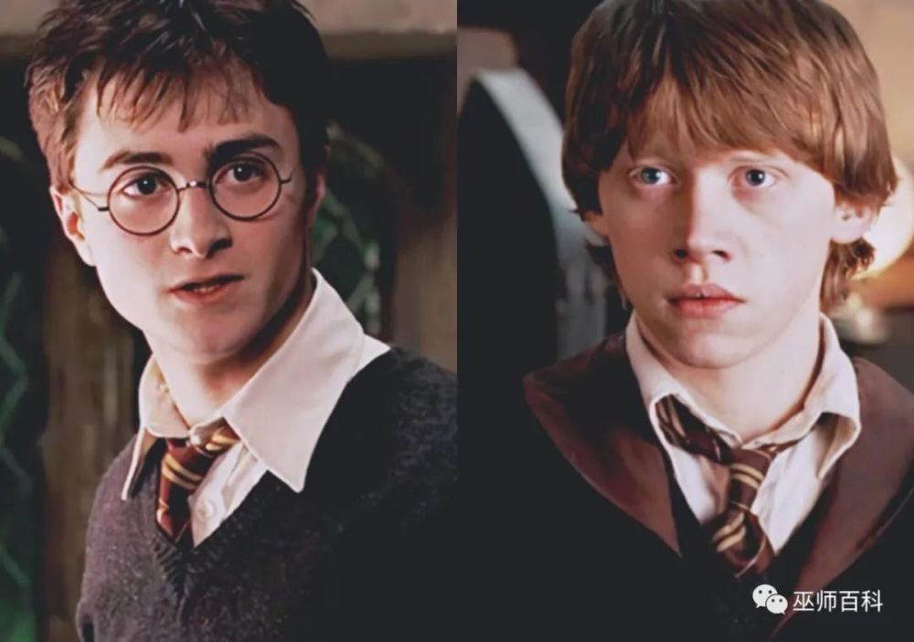 the pair, along with hermione granger, has gone through hell