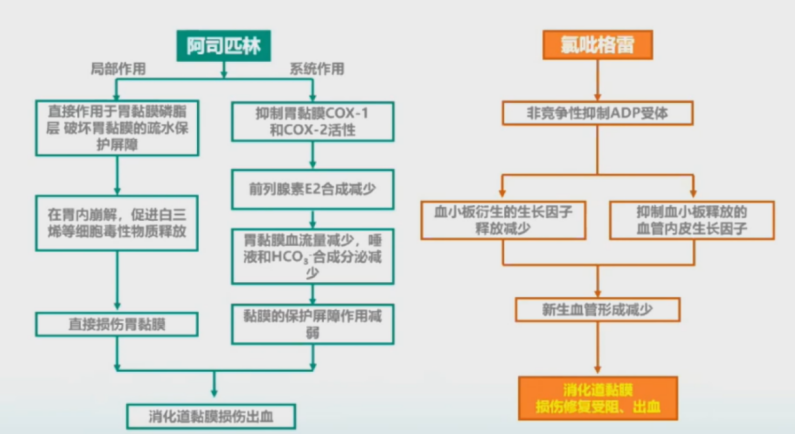 大咖视角从胃肠道安全性谈氯吡格雷与阿司匹林的药物选择