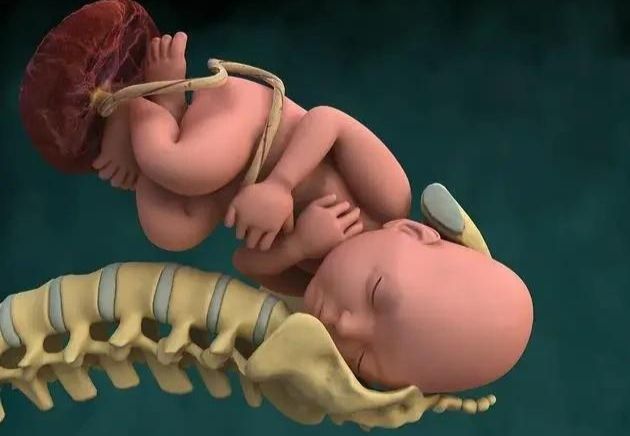 为什么说经产妇比初产妇生宝宝要快,快在哪里?了解一下分娩流程