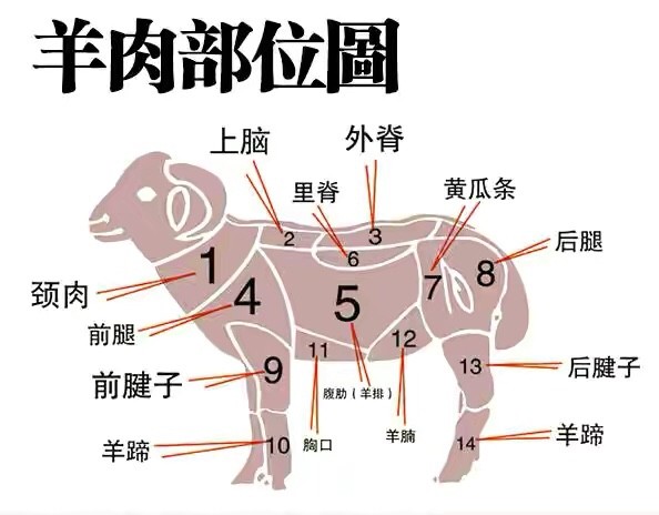 懂行人买羊肉专挑这3个部位羊肉贩子这人是行家