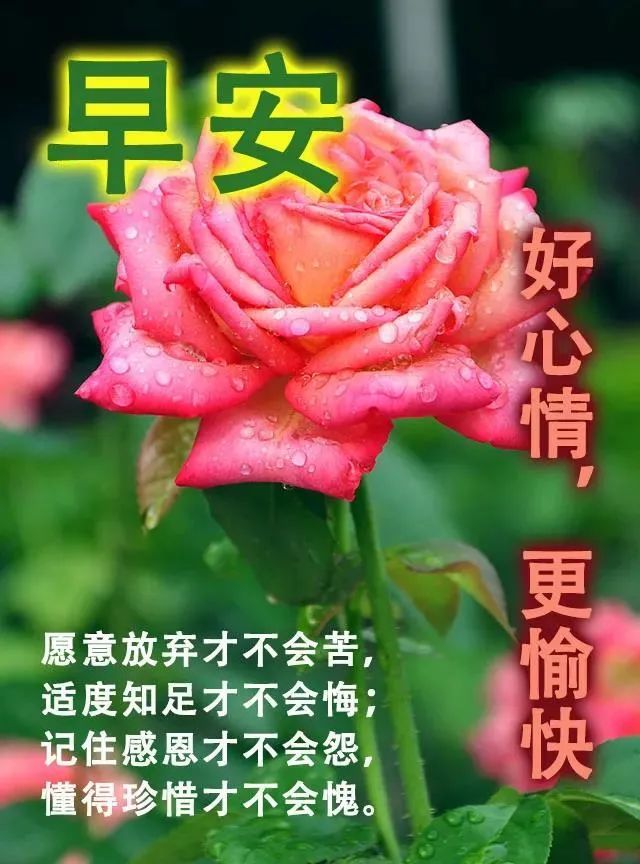 秋天早安祝福问候语说说图片 深秋早上好动态表情图片